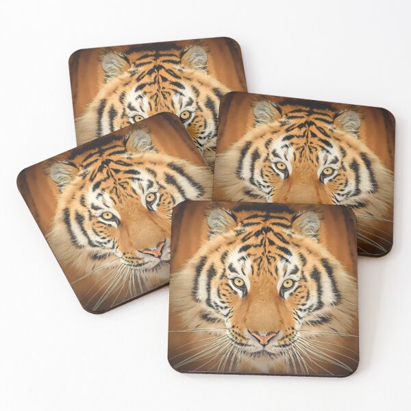 Item preview, Stunning Tiger Face Art Print - For a tiger lover, for a nature lover, for a conservationist. designed and sold by Wentoo.