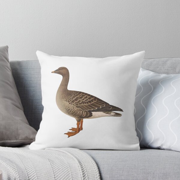 Item preview, Cute Canada Goose, Canadian Goose designed and sold by Stixdesigns.