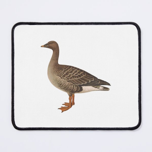Item preview, Cute Canada Goose, Canadian Goose designed and sold by Stixdesigns.