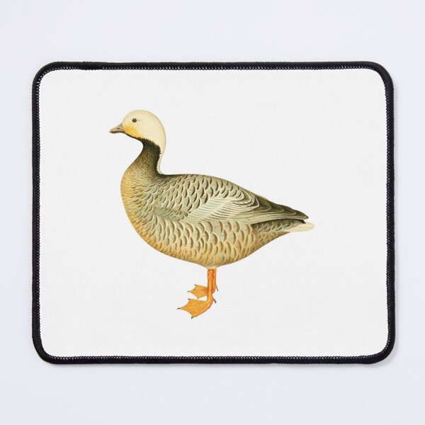 Item preview, Cute Canada Goose, Canadian Goose designed and sold by Stixdesigns.