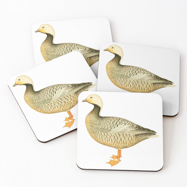 Item preview, Cute Canada Goose, Canadian Goose designed and sold by Stixdesigns.