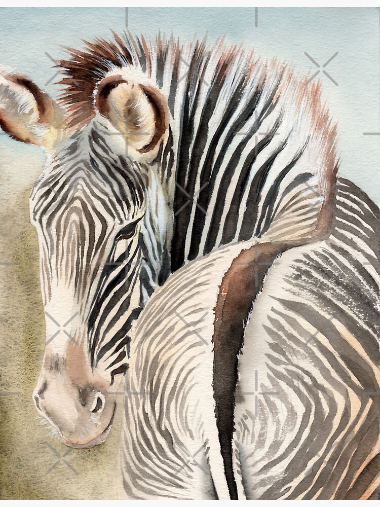 Watercolor Zebra With Contrasting Black And White Stripes Sticker For