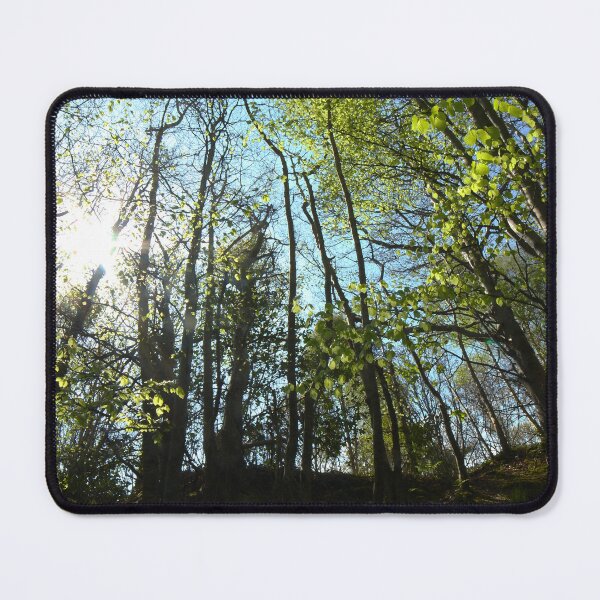 Item preview, Heritage trail sun through the trees Buncrana designed and sold by eddiebarronshop.