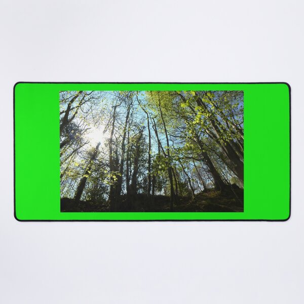 Item preview, Heritage trail sun through the trees Buncrana designed and sold by eddiebarronshop.