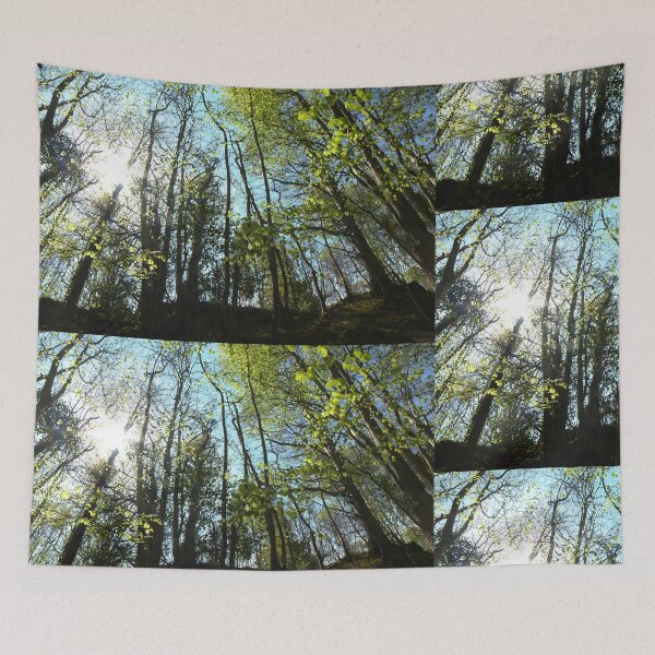Item preview, Heritage trail sun through the trees Buncrana designed and sold by eddiebarronshop.