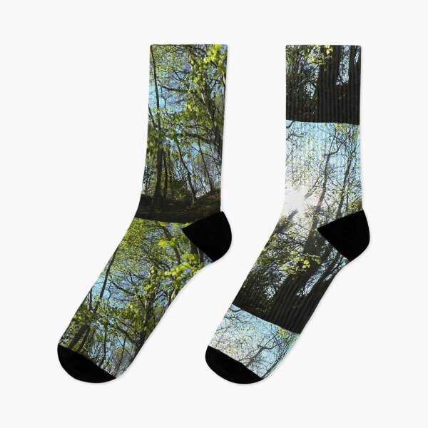 Item preview, Heritage trail sun through the trees Buncrana designed and sold by eddiebarronshop.
