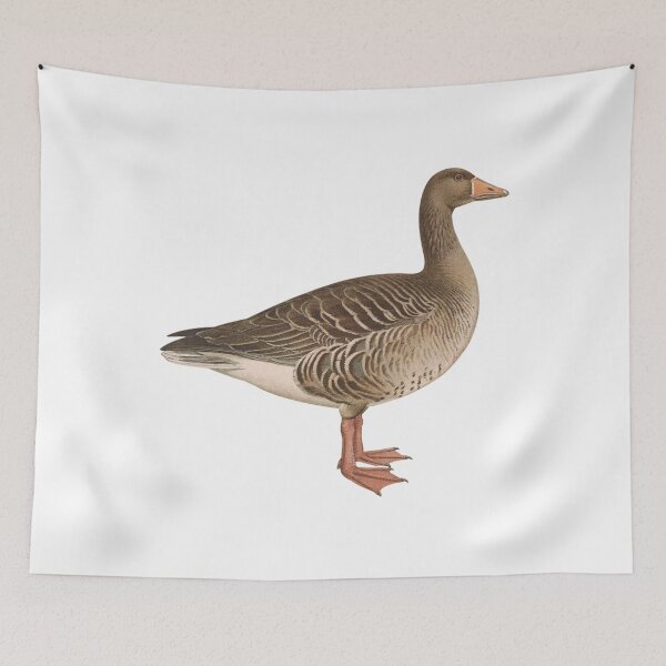 Item preview, Cute Canada Goose, Canadian Goose designed and sold by Stixdesigns.