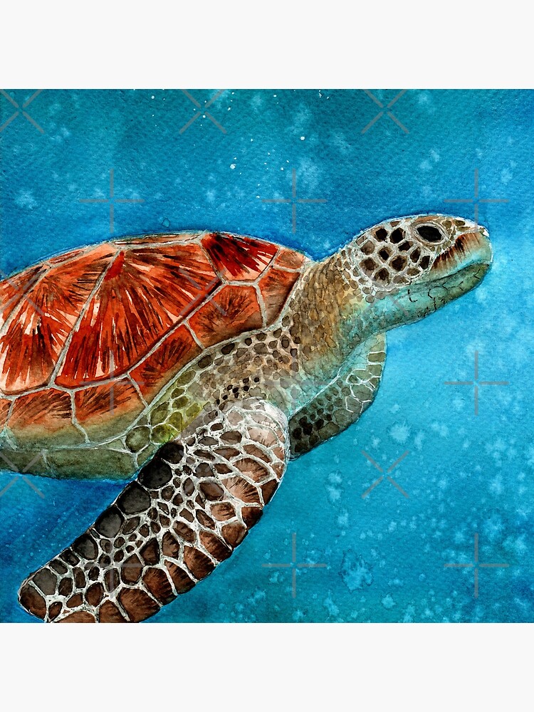 Sea turtle throw new arrivals