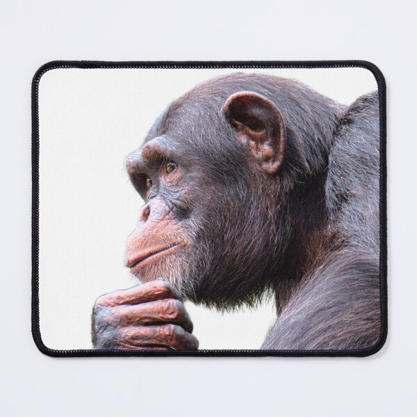 Item preview, Pondering Ape Print - For a chimpanzee lover, for a nature lover, for a conservationist. designed and sold by Wentoo.