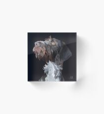 German Wire Haired Pointer Acrylic Block