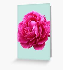 Pink peony Greeting Card
