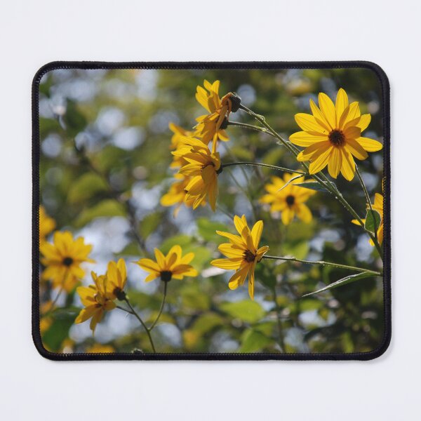 Item preview, Jerusalem Artichoke Flowers designed and sold by jojobob.