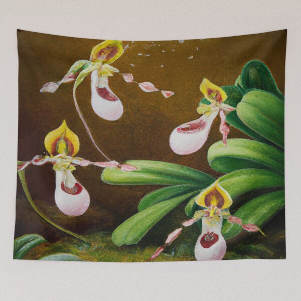 Item preview, Rare beauty: capturing the lady's slipper in a drawing designed and sold by jackbermess.