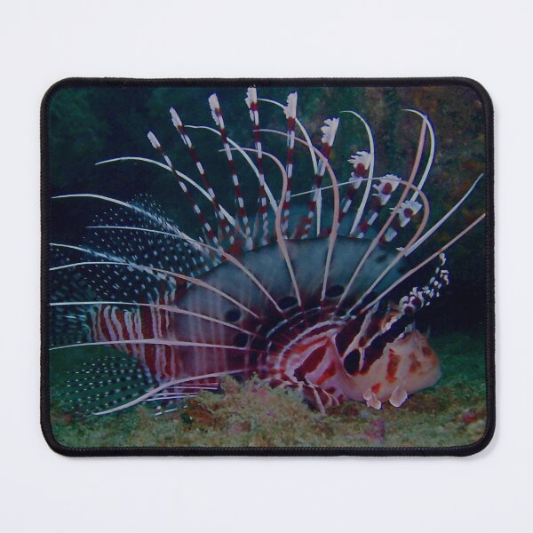Item preview, Lionsmane designed and sold by NICK COBURN PHILLIPS.