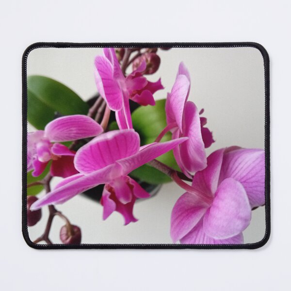 Item preview, Beautiful Orchidea designed and sold by Dreammkd.