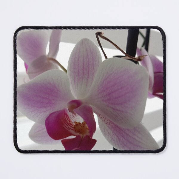 Item preview, Magnificent Orchidee  designed and sold by Dreammkd.