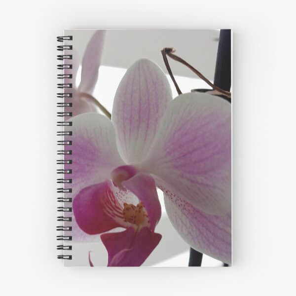 Artikelvorschau, Prächtige Orchidee entworfen und verkauft von Dreammkd.