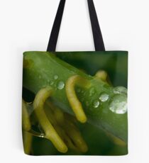 Wet Rhizomes Tote Bag