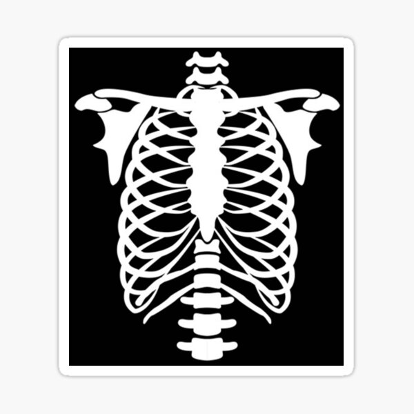 Beautiful Rib Cage Cartoon Skeleton Torso Halloween - Roblox T Shirts Png  PNG Image