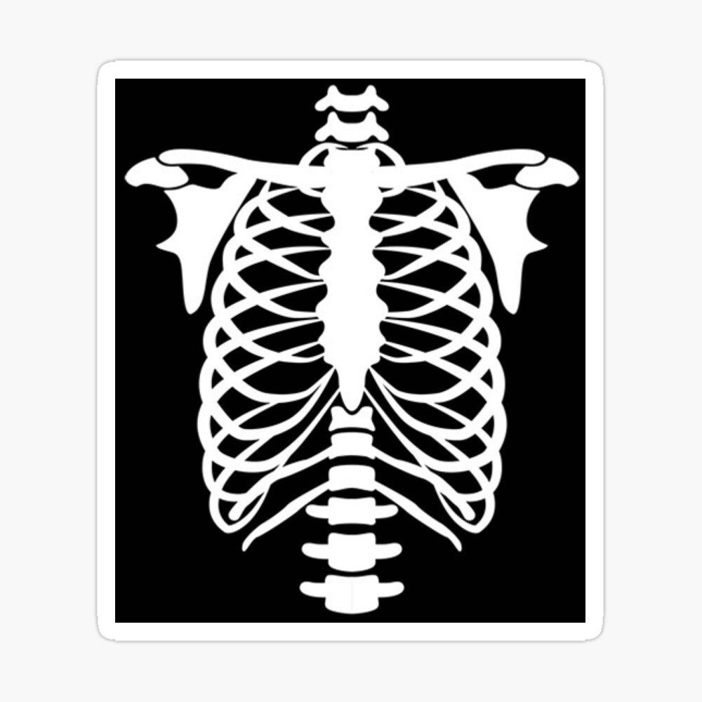 Skeleton Clipart Torso - T Shirts For Roblox - Free Transparent PNG Clipart  Images Download