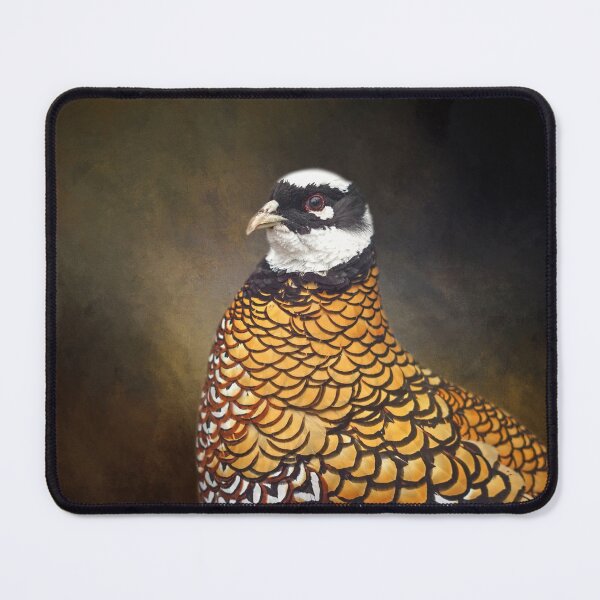 Item preview, Reeve's Pheasant 01 designed and sold by Elisabeth Lucas.