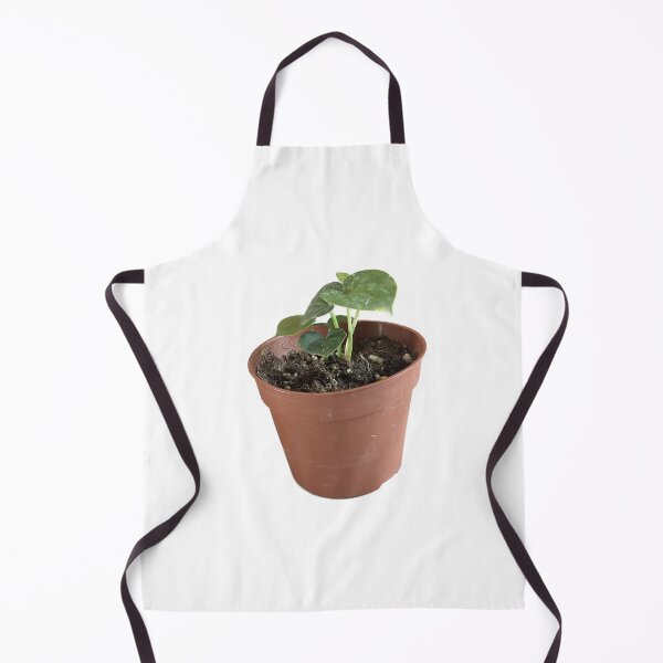 Item preview, Anthurium clarinervium designed and sold by sajin-jip.