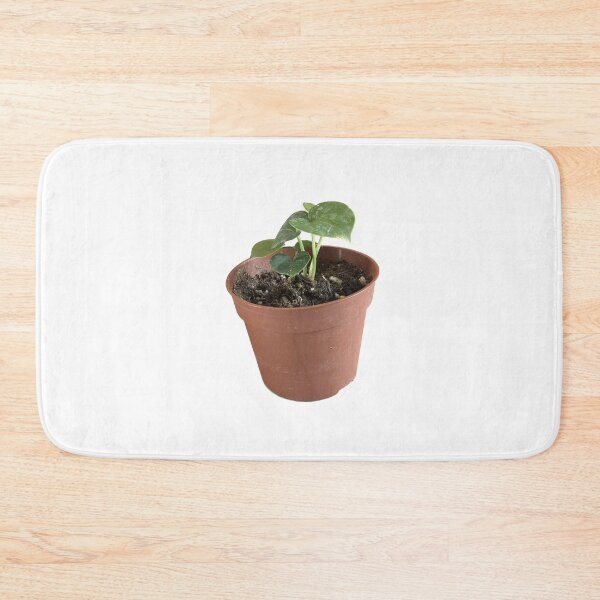 Item preview, Anthurium clarinervium designed and sold by sajin-jip.