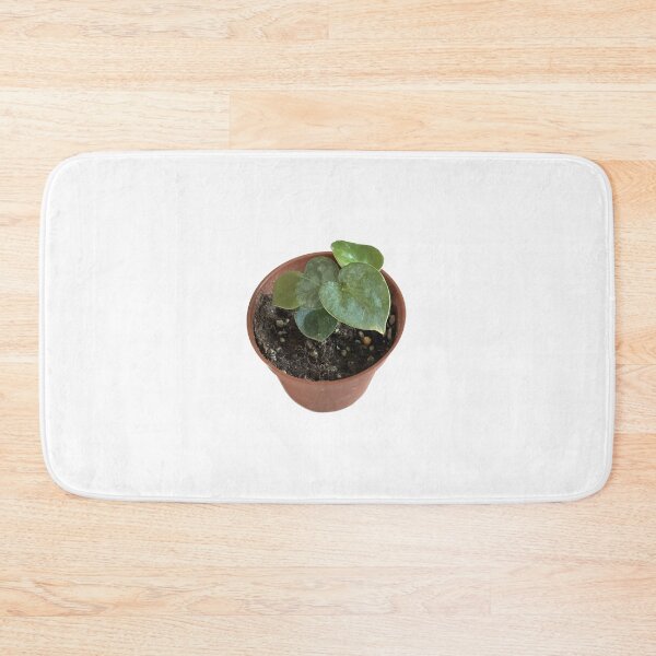 Item preview, Anthurium clarinervium designed and sold by sajin-jip.