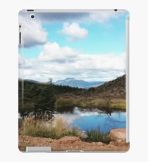 Scenic view iPad Case/Skin
