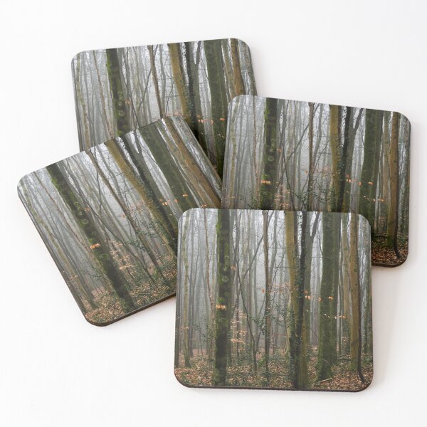 Item preview, The ancient beech woods of Fforest Fawr  designed and sold by Leighton Collins.