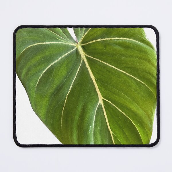 Item preview, Philodendron gloriosum designed and sold by sajin-jip.