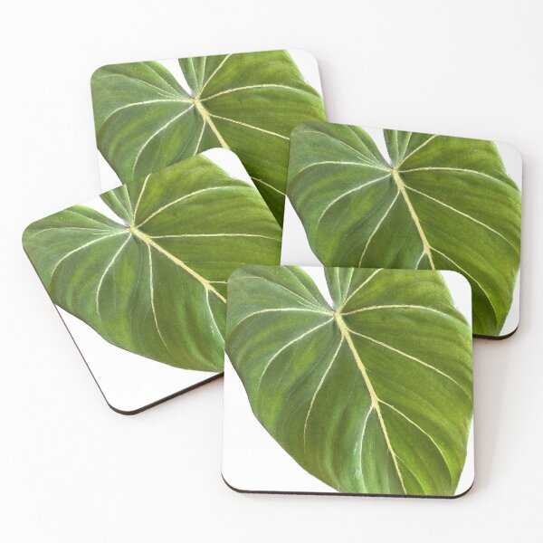 Item preview, Philodendron gloriosum designed and sold by sajin-jip.