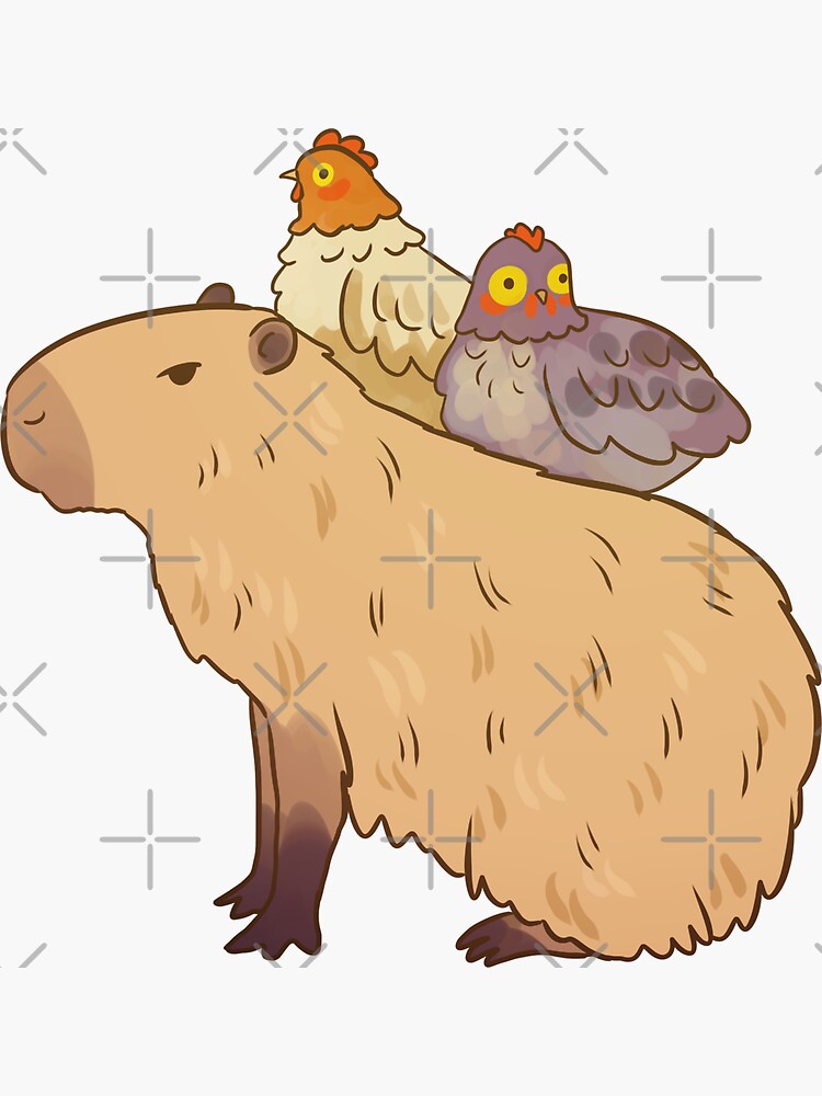 Capybara with his bird friend  Capybara, Cute drawings, Cute doodles