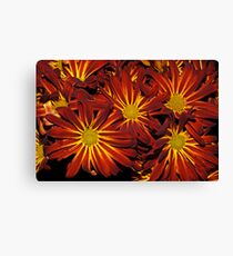 Intense Color Canvas Print
