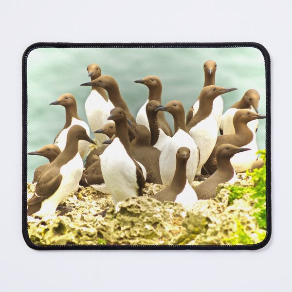 Item preview, NATURELLEMENT GUILLEMOT !!! designed and sold by NICK COBURN PHILLIPS.
