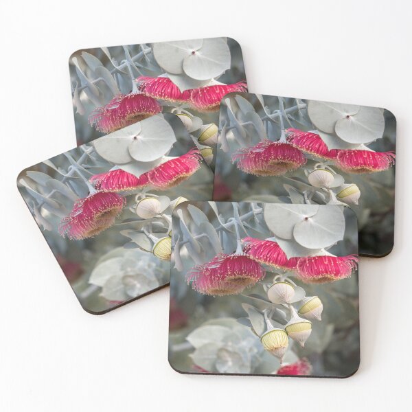 Item preview, Multicolor Eucalyptus rhodantha (Rose Mallee), multiple pink flowers and yellow buds, various layers of depth of field (focus on yellow buds); green blurred background, portrait format designed and sold by Kerstin Lembke.