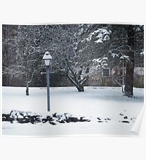 Snowstorm Poster