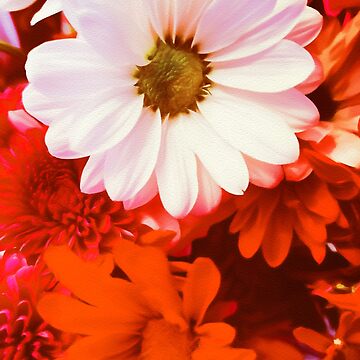 Artwork thumbnail, Daisy in the Red by OneDayArt