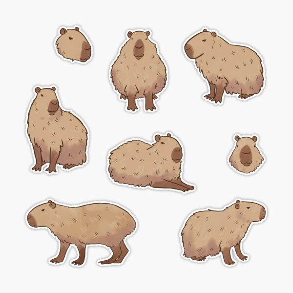 capybara, Tumblr, Capybara, Animal drawings, Cute art