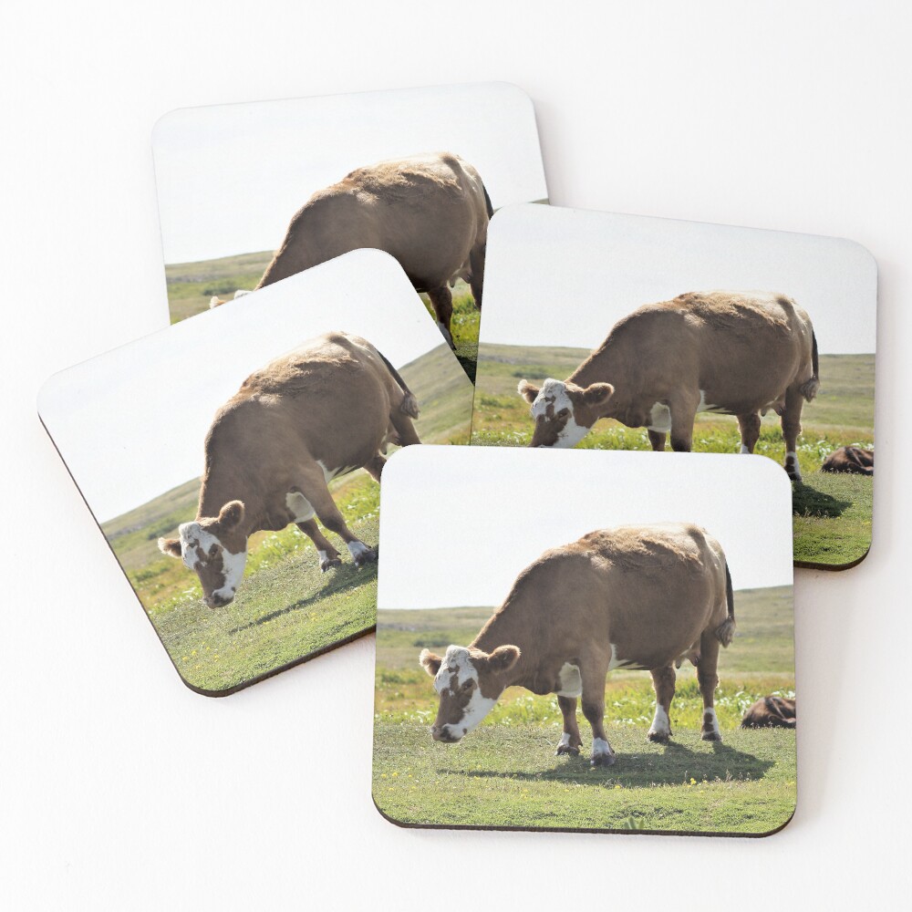 Item preview, Coasters (Set of 4) designed and sold by ZombieOverLoad.