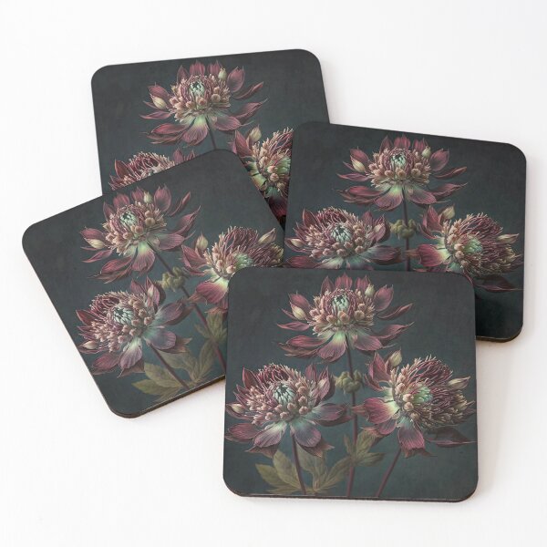 Item preview, Burgundy Astrantia designed and sold by Vanover Designs.