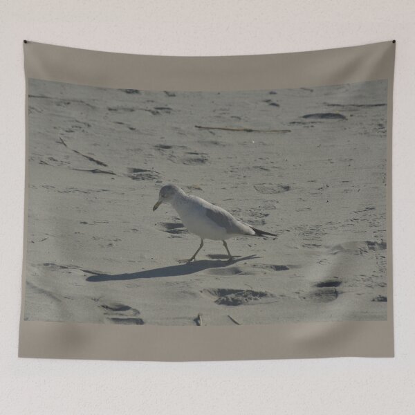 Item preview, Beautiful Bird on Sand Beach designed and sold by JLFXCreations.