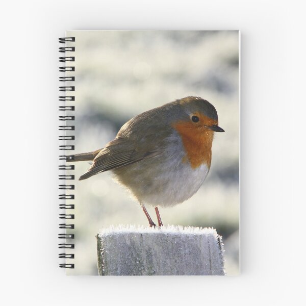 Item preview, Cold Robin designed and sold by scoff.