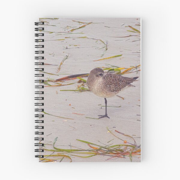 Item preview, Sandpiper designed and sold by LisaWootenPhoto.