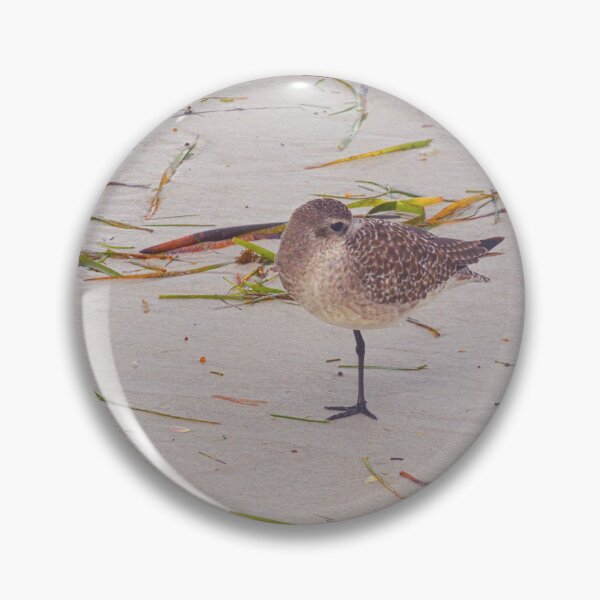 Item preview, Sandpiper designed and sold by LisaWootenPhoto.