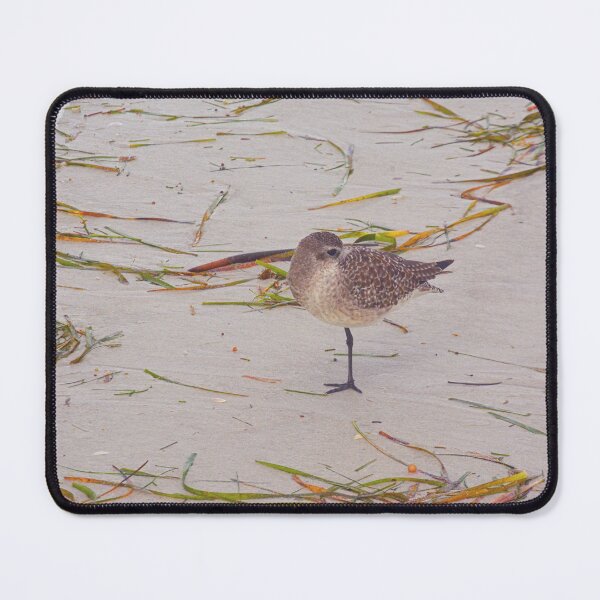 Item preview, Sandpiper designed and sold by LisaWootenPhoto.