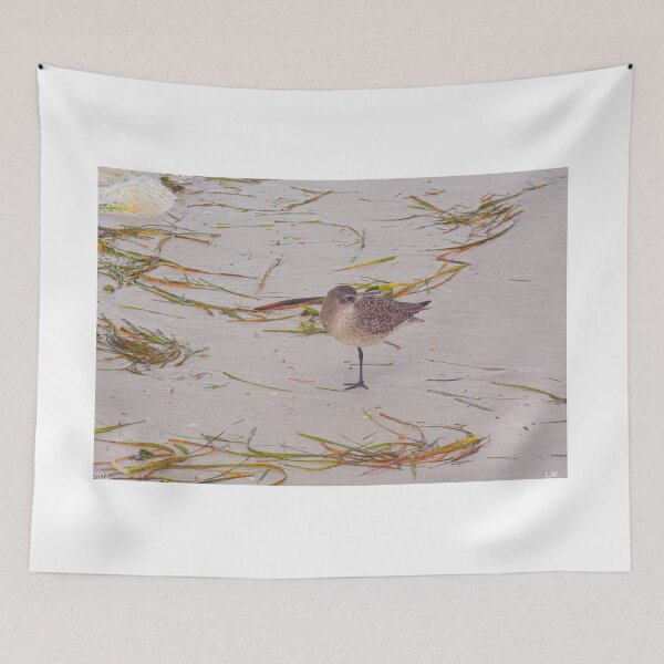 Item preview, Sandpiper designed and sold by LisaWootenPhoto.