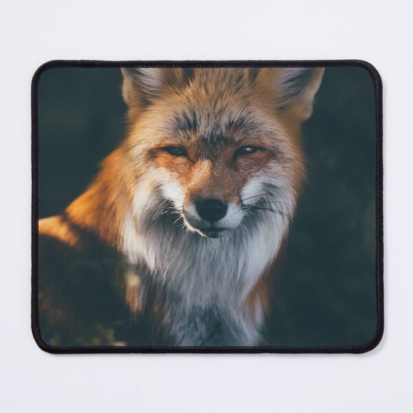 Item preview, Sleepy Fox designed and sold by Alina Nachtmann.