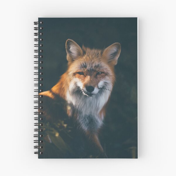 Item preview, Sleepy Fox designed and sold by Alina Nachtmann.