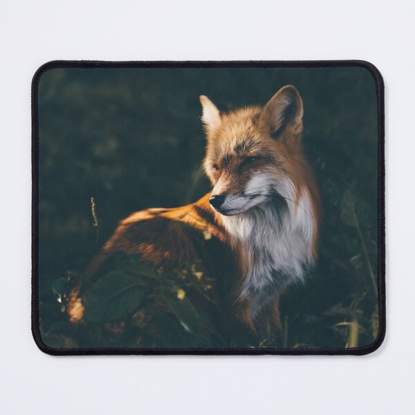 Item preview, Fox in the Sunlight designed and sold by Alina Nachtmann.